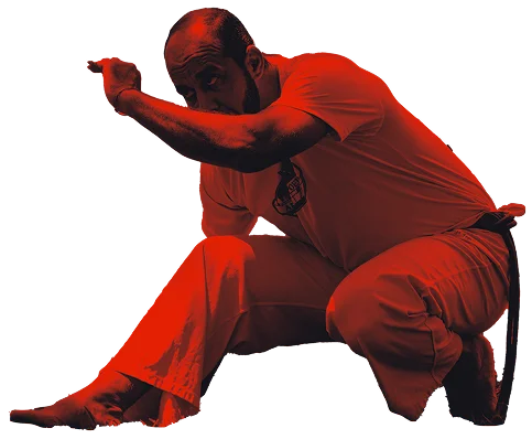 Professor Pinga-Fogo